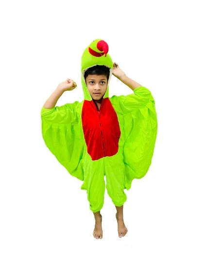 Parrot - View 2