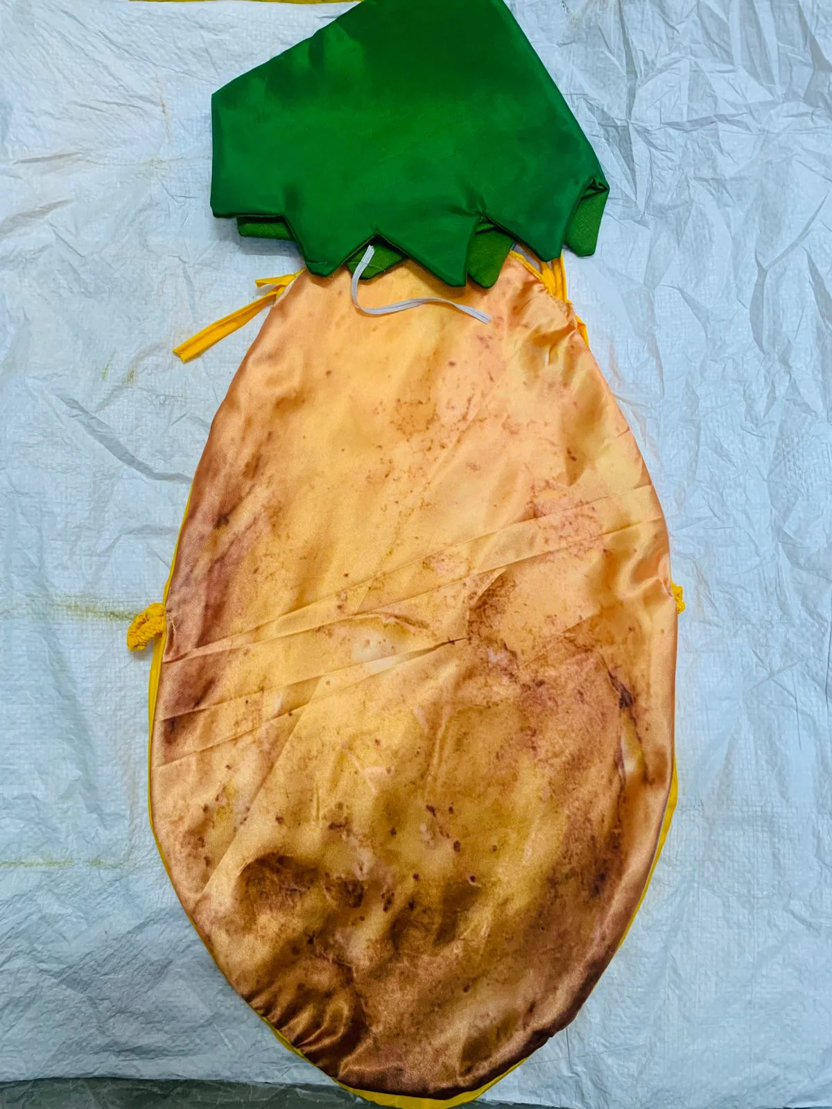 Potato - View 2
