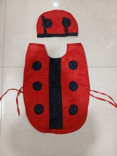 Ladybird