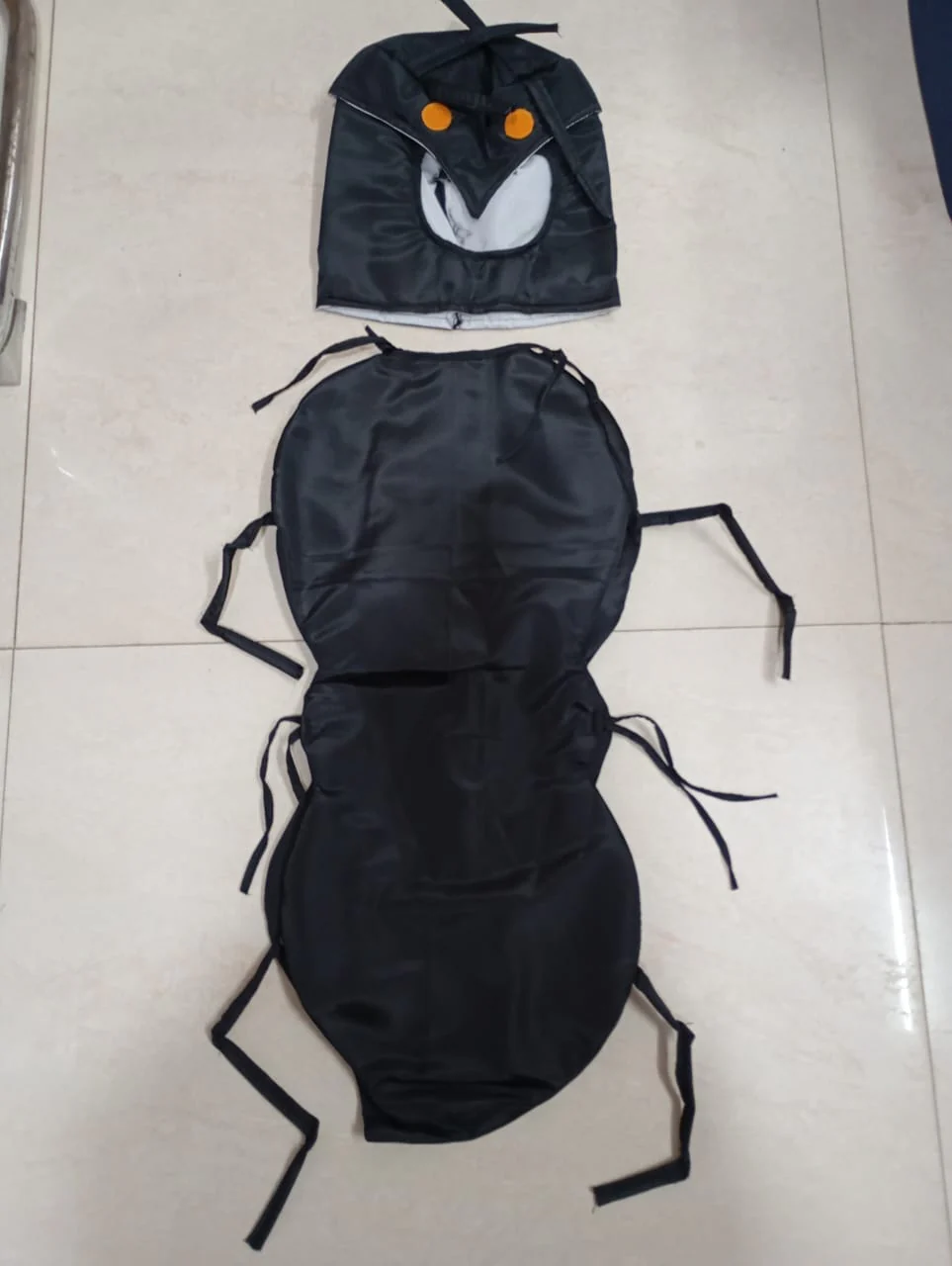 Ant - View 2