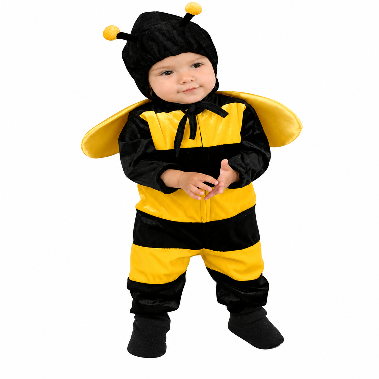 Honey Bee - View 2